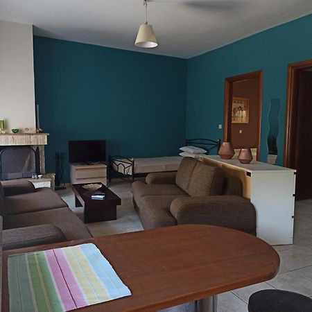 Litochoro Apartment Bagian luar foto